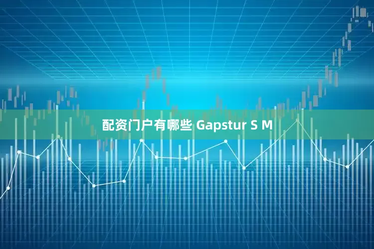 配资门户有哪些 Gapstur S M