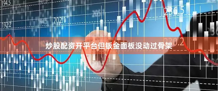 炒股配资开平台但钣金面板没动过骨架